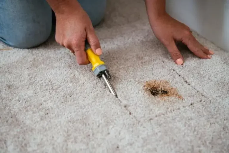 Read more about the article How to Fix a Bald Patch in Your Carpet?